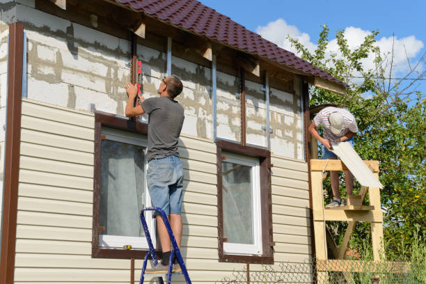 Best Hoarding Cleanup  in Maysville, MO